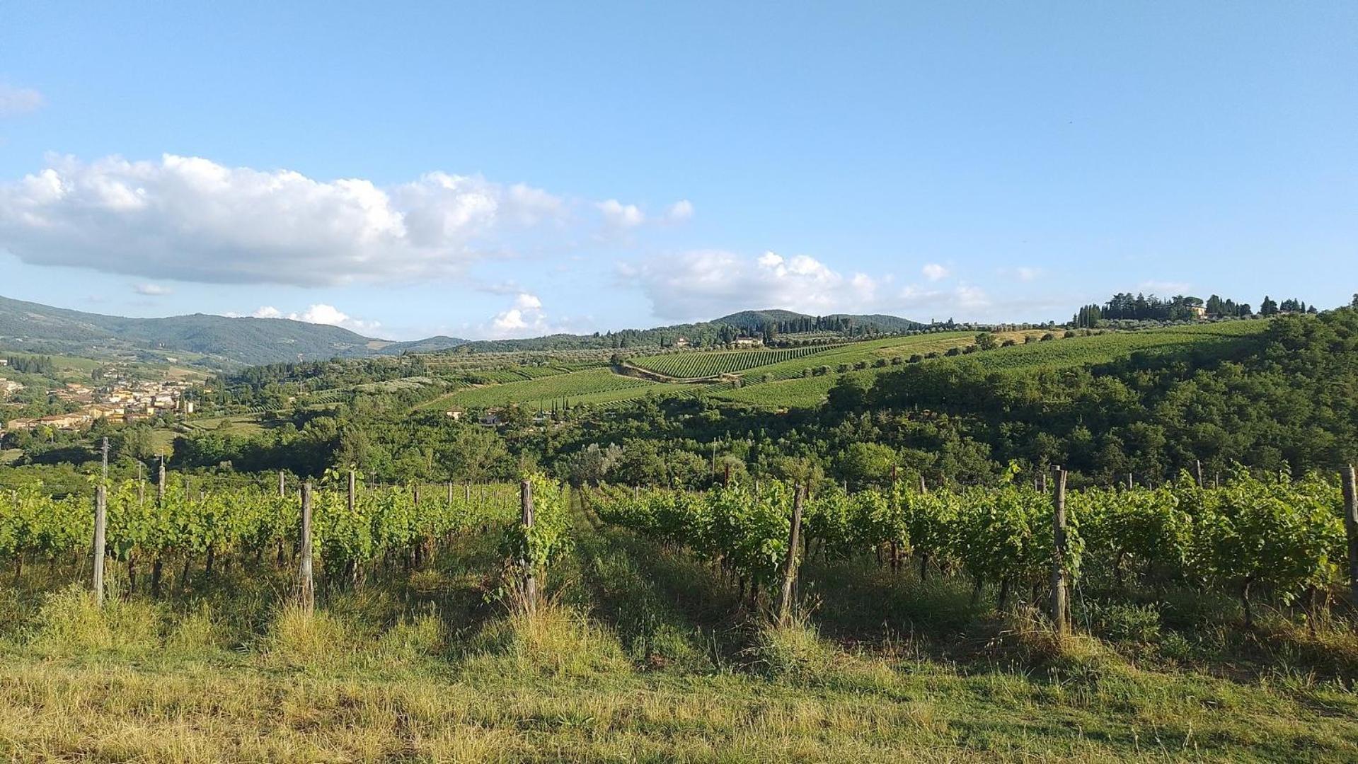 La Turra - Casa Di Campagna Greve in Chianti Kültér fotó