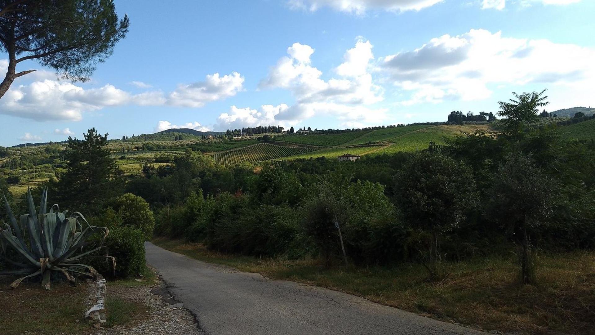 La Turra - Casa Di Campagna Greve in Chianti Kültér fotó