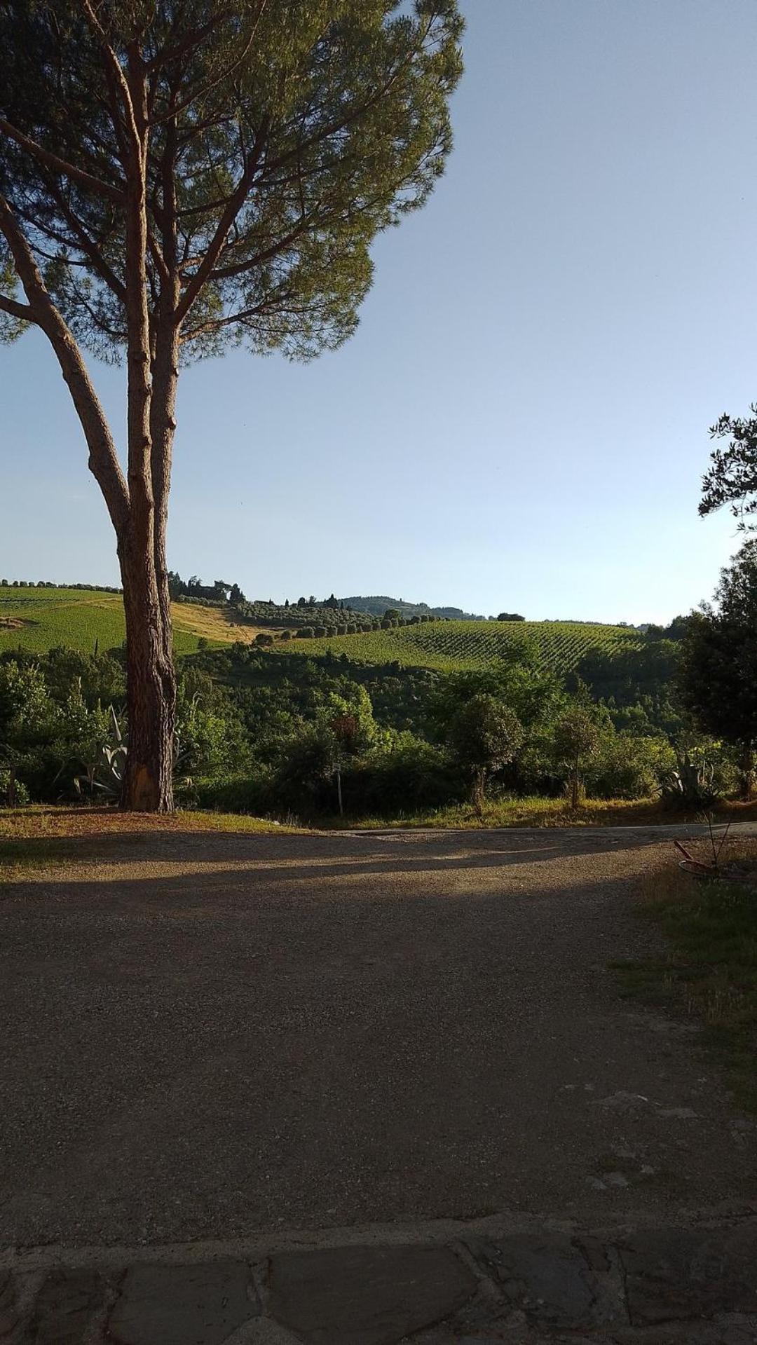 La Turra - Casa Di Campagna Greve in Chianti Kültér fotó