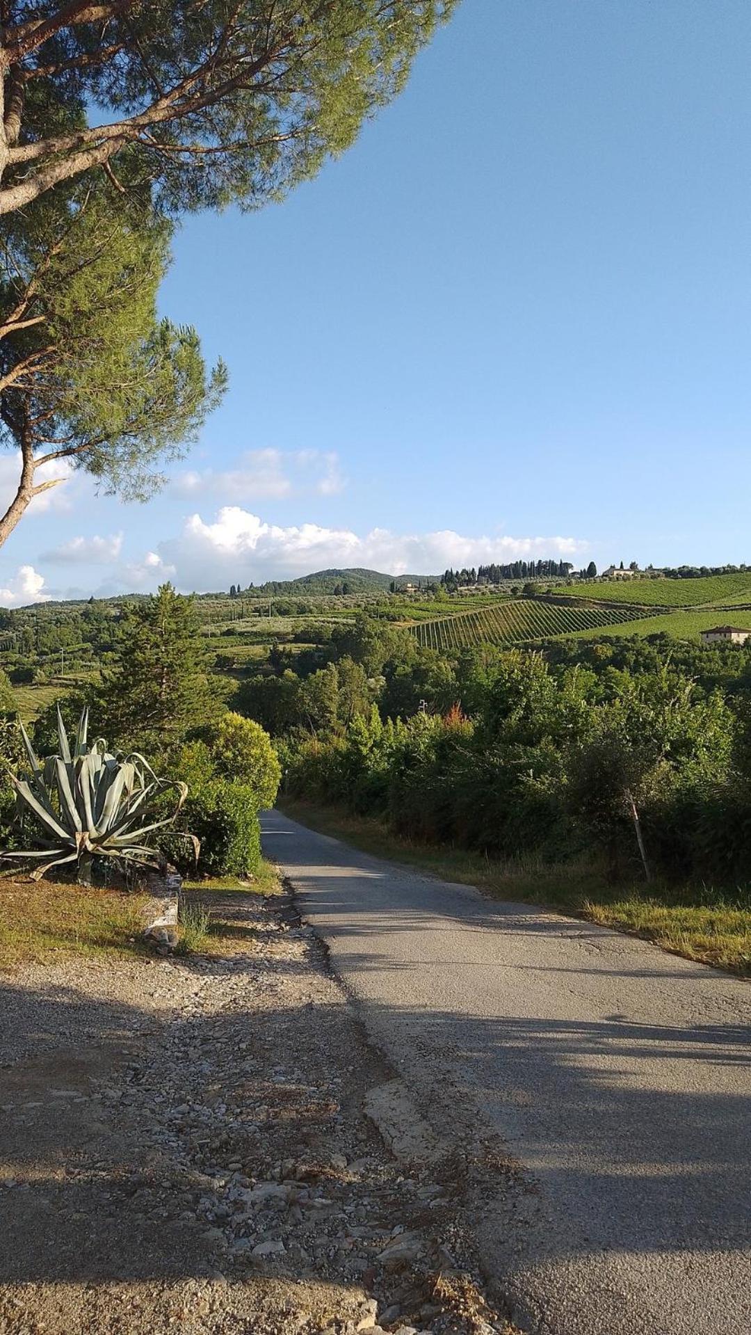 La Turra - Casa Di Campagna Greve in Chianti Kültér fotó